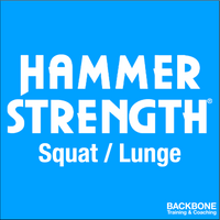 Squat/ Lunge 2